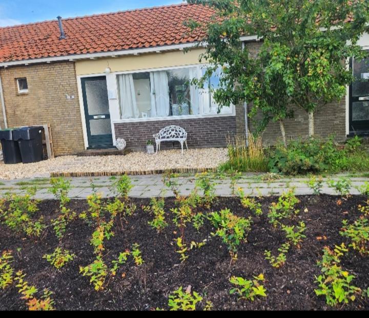 In Het Mooie Friesland Vele Bezienswaardigheden Hantum Εξωτερικό φωτογραφία