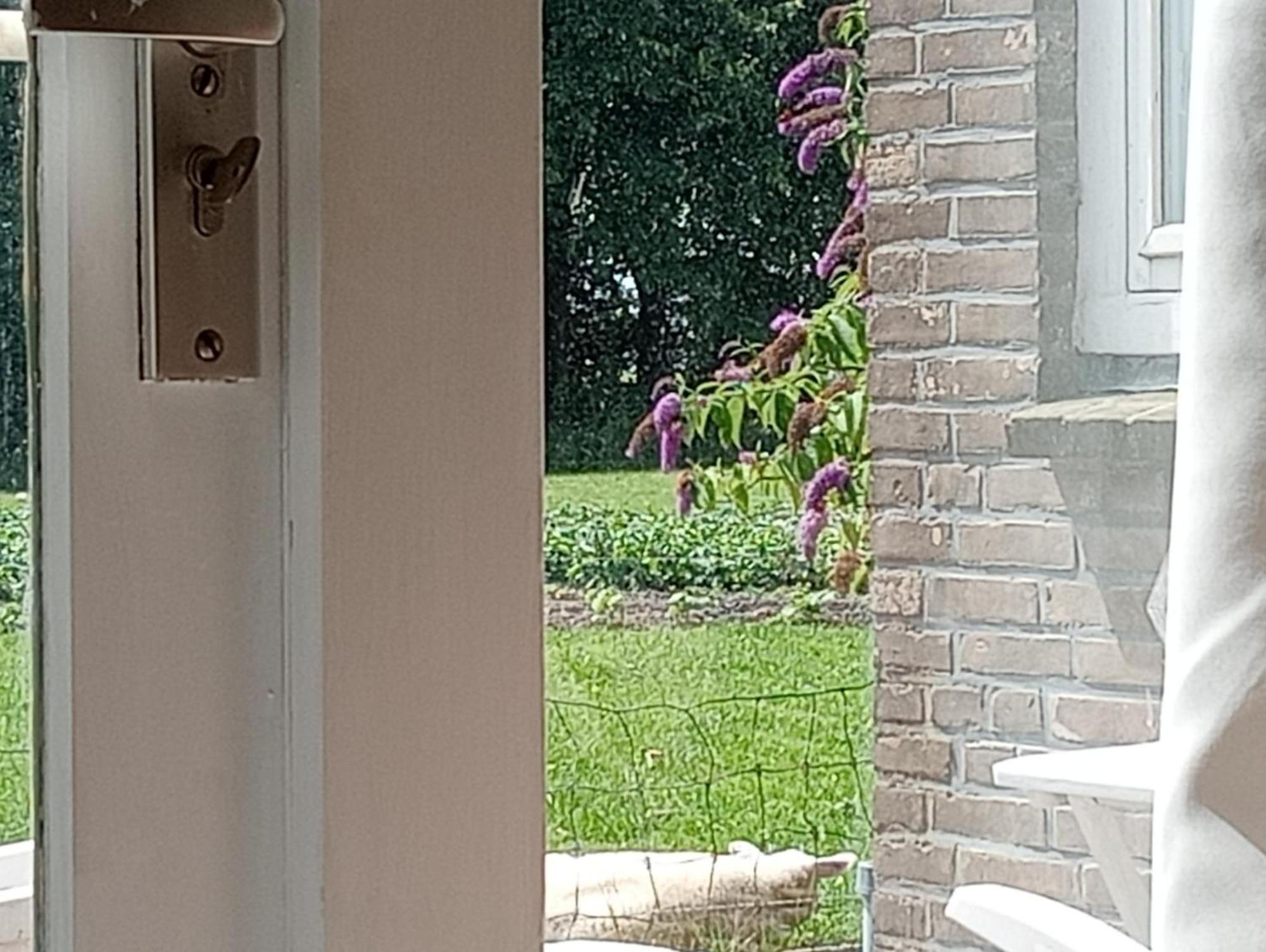 In Het Mooie Friesland Vele Bezienswaardigheden Hantum Εξωτερικό φωτογραφία